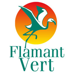 Flamant Vert